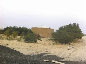 الجاخور الذي شهد واقعة التعذيب 