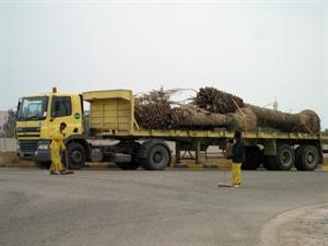 بدء اعمال التنظيف
