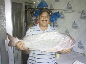 سبيطي الحيشان في سنة 2010

