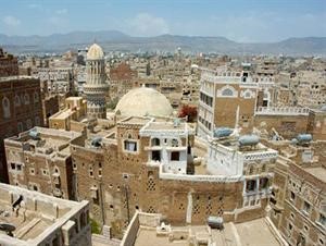 7 مليارات دولار انفاق اليمنيين على القات سنويا﻿