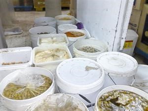 زيتون واجبان ومواد غذائية غير صالحة للاستهلاك
