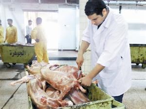 احد الاطباء خلال فحص اللحوم المضبوطة﻿
