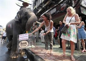 فيل يحمل صندوق تبرعات لضحايا الزلزال وسط بانكوك وسائحتان غربيتان تقدمان تبرعهما 	رويترز﻿