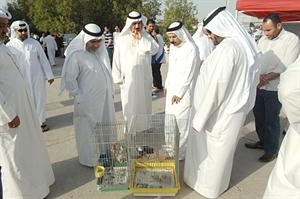 جانب من الجولة	محمد ماهر﻿