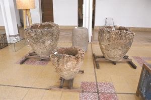 احواض للنباتات مصنوعة من اخشاب متحجرة﻿