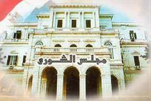 مصير غامض ينتظر مجلس الشورى وسط دعوات لإلغائه