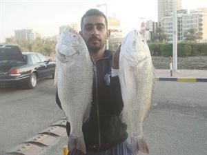 من يوم يومك فنان