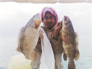 يعطيك العافية على البواليل
