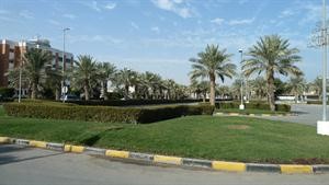 مسطحات خضراء داخل القرية﻿