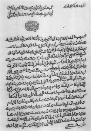 أسرة الزنكي.. نجم من النجوم التي لمعت في سماء تاريخ دولة الكويتنبذة عن الكتاب