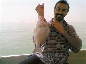 شعم ولا اروع﻿