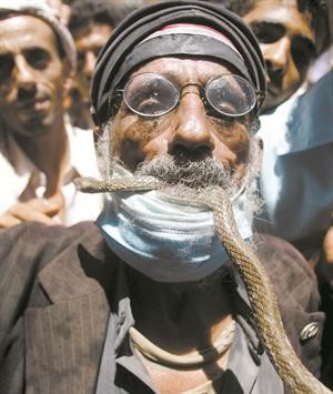يمني يحمل بفمه افعى خلال احدى المظاهرات المعارضة للرئيس رويترز 