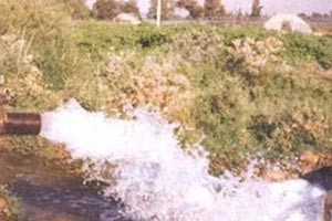 توقيف مسؤول أردني سابق بتهم الفساد والاحتيال 