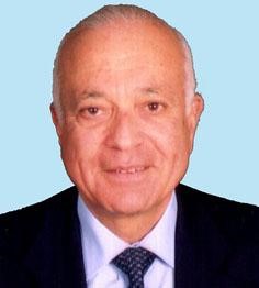 دنبيل العربي﻿