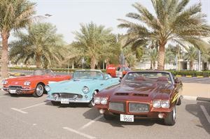 جانب من السيارات المشاركة