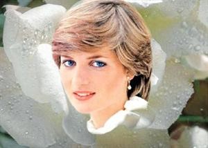 الاميرة ديانا﻿