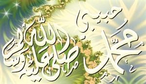 (لقد كان لكم في رسول الله أسوة حسنة)