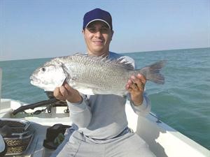 حامد البحراني مع السبيطي