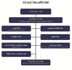 الريس: القنوات الإعلامية المسموعة والمقروءة مستبعدة من نيران قانون هيئة أسواق المال