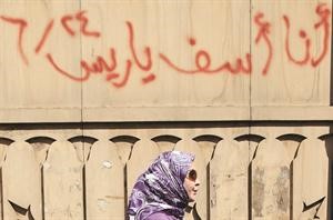 احد الشعارات التي كتبت في شوارع القاهرة ضمن حملة اسف يا ريس ثورة ابناء مبارك في 24 يونيورويترز