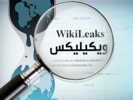 «ويكيليكس»: إخواني سابق كشف لوفد أميركي أن «الإخوان» ستنقسم لـ 5 أحزاب إذا ما أتيحت لها المشاركة السياسية
