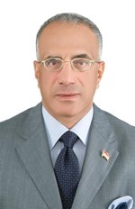 حسني كامل﻿