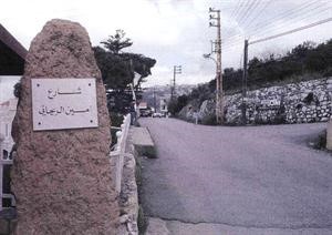 شارع امين الريحاني في قرية الفريكة