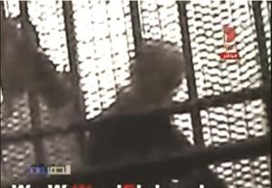  وحبيب العادلي