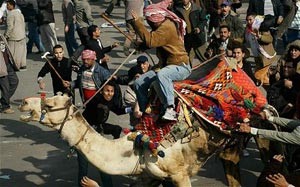 أدلة الثبوت في موقعة الجمل: الشريف وسرور ومرتضى منصور وعائشة عبدالهادي دبروا الاعتداء