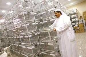 دراسة إحصائية لكشوفات قيد الناخبين لعام 2011: إجمالي من يحق لهم التصويت 400 ألف و296.. والناخبات 54%