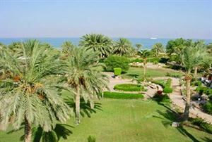 العين السخنة.. أشهر مدن الصيد في العالم 