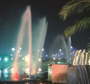 منظر عام للنافورة