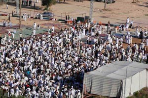 القذافي يرفض مهلة الاستسلام.. ويصف الثوار  بـ «الكلاب المسلحة»