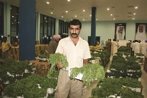 جانب من الانتاج الكويتي
