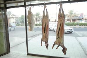 خروف «المواشي» يشعل أسعار الأغنام واللحوم