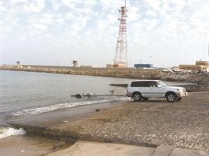 مسنة الفنطاس
