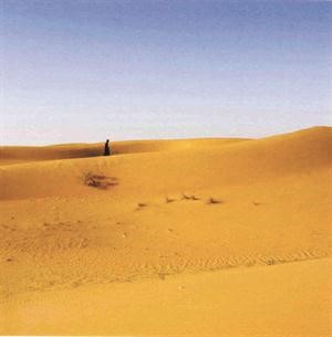 رمال الدهناء﻿