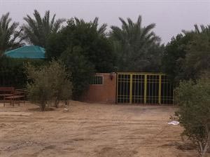 النيابة في قضية الميموني: المتهمون امتهنوا كرامة الإنسان وأغرتهم السلطة وأغوتهم السطوة فعذبوا المجني عليه حتى الموت