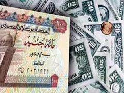 تراجع الجنيه يهدد بكارثة اقتصادية في مصر