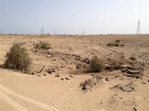 البيئة البرية تتاثر بمخلفات المقاولين﻿