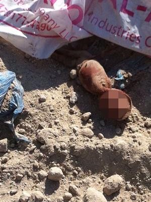 جثة الجنين بعد العثور عليها في ساحة العلم﻿