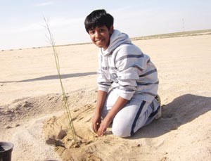 زراعة شتلة﻿