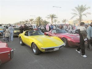 جانب من مشاركة مستشفى السيف في اليوم العالمي لذوي الاحتياجات الخاصة

