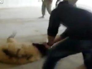 بالفيديو.. جندي أميركي ينهال ضرباً على خروف بأفغانستان ويرديه بأقل من 30 ثانية!