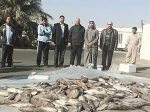 فريق التفتيش امام كمية من الاسماك المضبوطة
