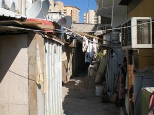 مشكلة العزاب تؤرق المواطنين في الدائرة
