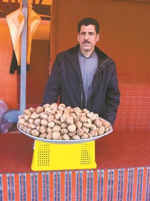 عبدالعزيز المصري وامامه الفقع المصري
