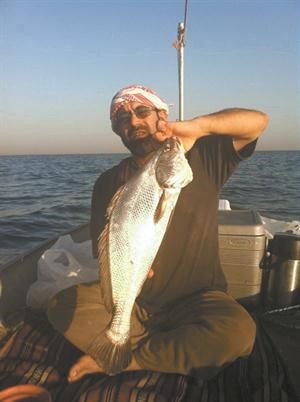 يا عيني على فرخ الشماهي 