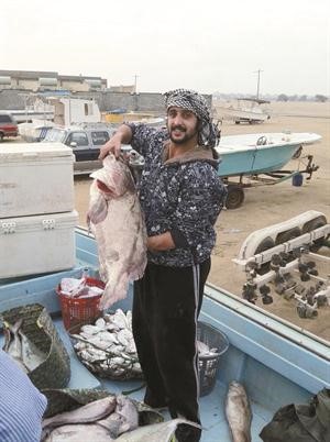 ياعيني على الهامور﻿