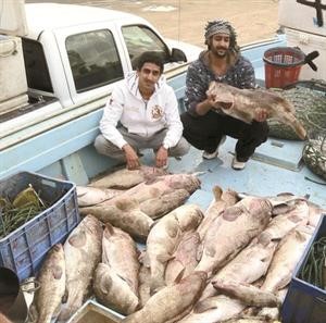 صيد وفير باحدى الرحلات الطبية﻿